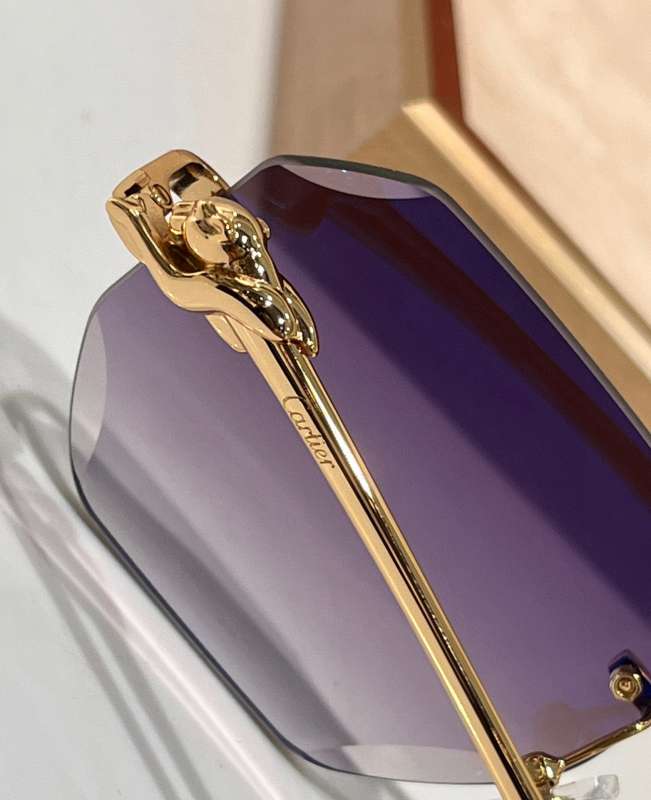 Picture of Cartier Sunglasses _SKUfw56642908fw